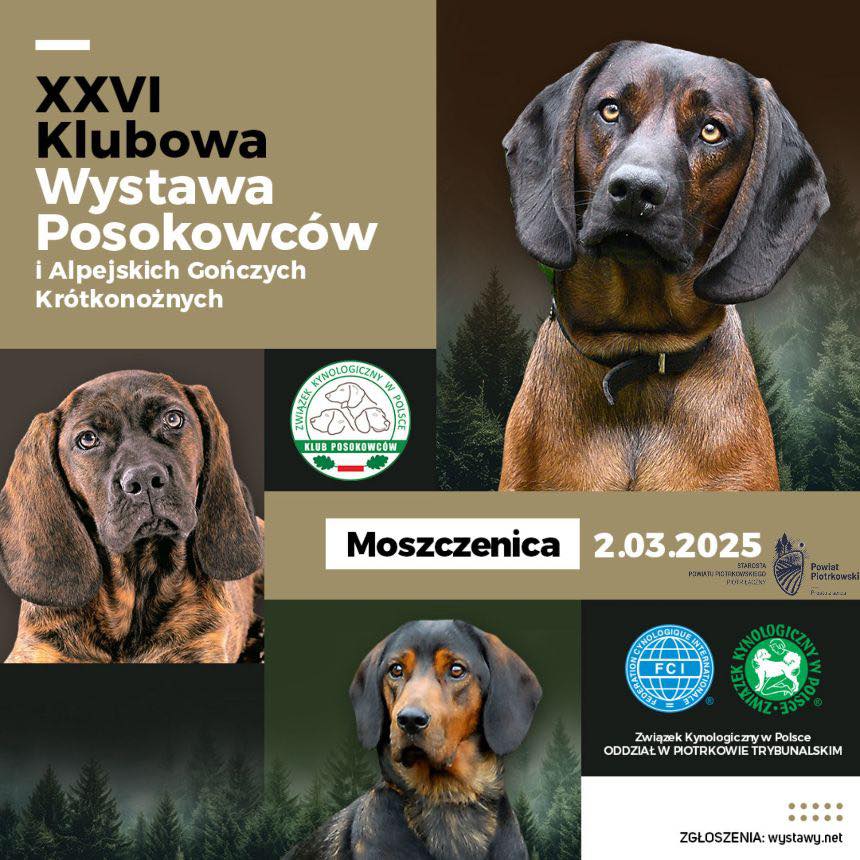 Plakat przygotowany przez organizatora