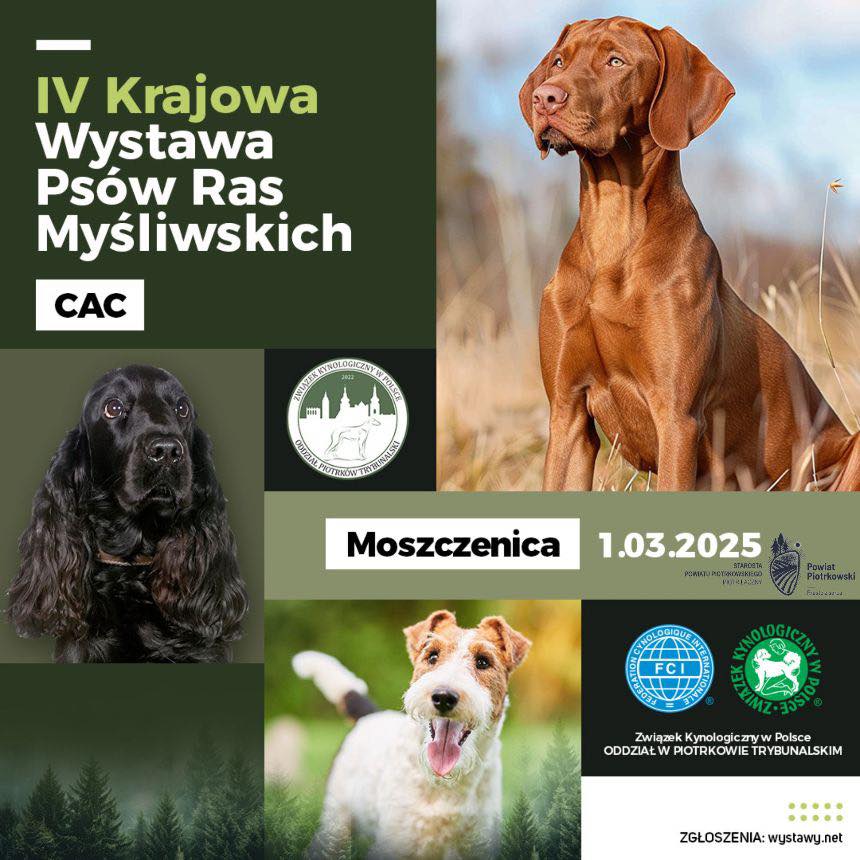 Plakat przygotowany przez organizatora