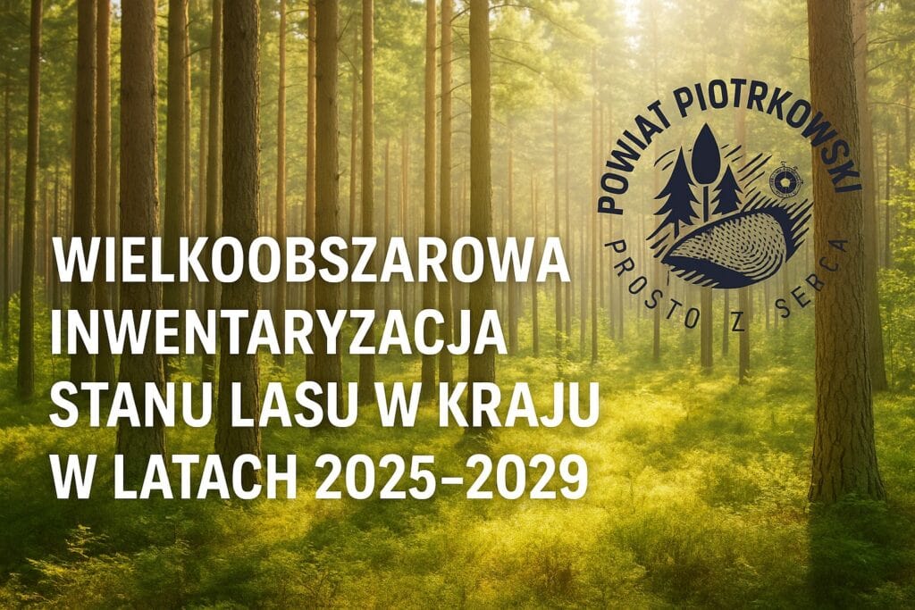 Wielkoobszarowa Inwentaryzacja Stanu Lasu 2025–2029 – ważne zadanie ogólnopolskie także na terenie naszego Powiatu