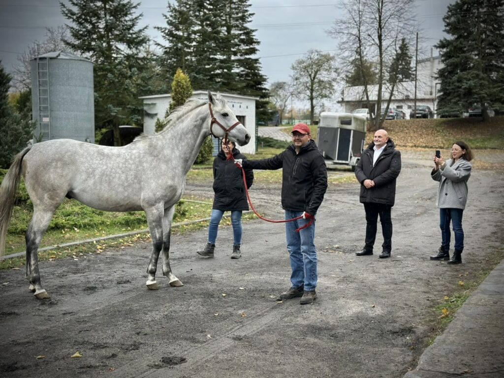 Nowi lokatorzy szkolnej stajni w Wolborzu – Mały Książę, Lewkonia i Bitwa dołączyli do stada