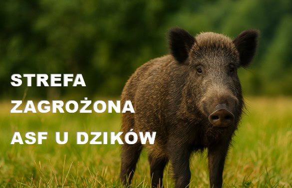 Ważny komunikat służb weterynaryjnych