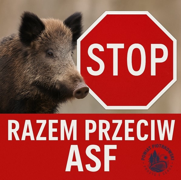 Decyzja Powiatowego Lekarza Weterynarii – strefa objęta zakażeniem (SOZ) w Powiecie Piotrkowskim – AKTUALIZACJA